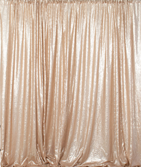 Champagne Sequin backdrop